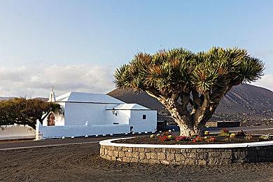 Roguelike牌组构筑游戏《Toads of the Bayou》Steam页面 明年发售